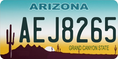 AZ license plate AEJ8265