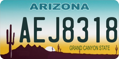 AZ license plate AEJ8318