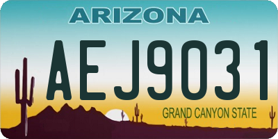AZ license plate AEJ9031