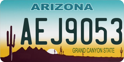 AZ license plate AEJ9053