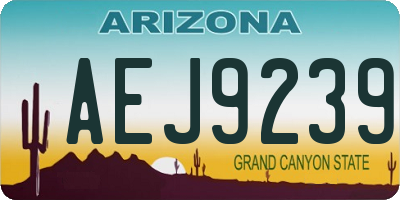 AZ license plate AEJ9239