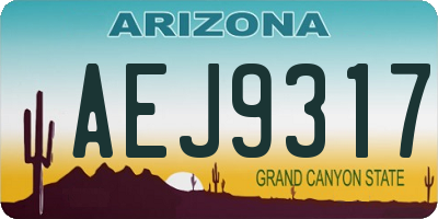 AZ license plate AEJ9317