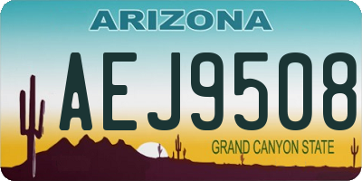 AZ license plate AEJ9508