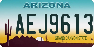 AZ license plate AEJ9613