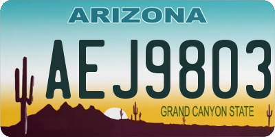 AZ license plate AEJ9803