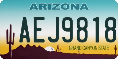AZ license plate AEJ9818