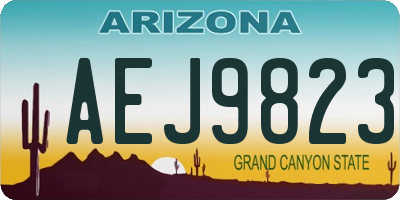 AZ license plate AEJ9823