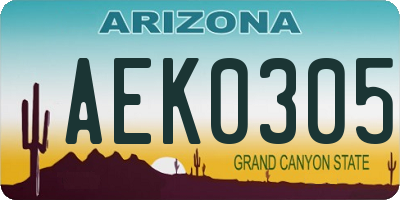 AZ license plate AEK0305