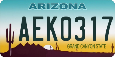 AZ license plate AEK0317