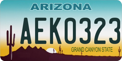 AZ license plate AEK0323