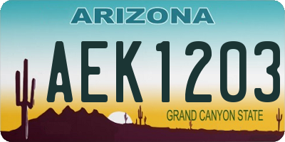 AZ license plate AEK1203
