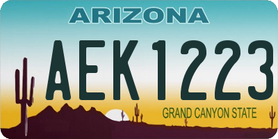 AZ license plate AEK1223