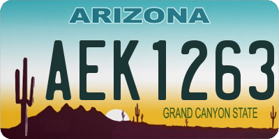 AZ license plate AEK1263