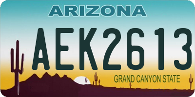 AZ license plate AEK2613
