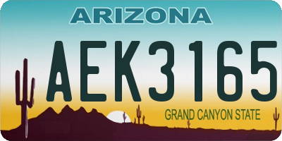 AZ license plate AEK3165