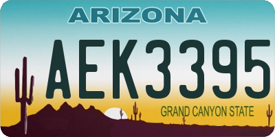 AZ license plate AEK3395