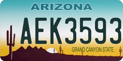 AZ license plate AEK3593