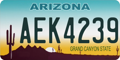 AZ license plate AEK4239