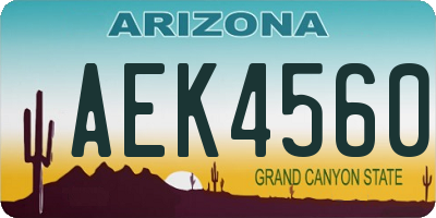 AZ license plate AEK4560