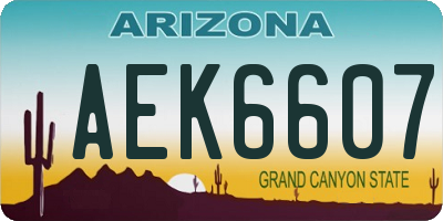 AZ license plate AEK6607