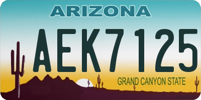 AZ license plate AEK7125