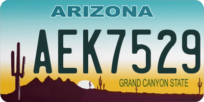 AZ license plate AEK7529