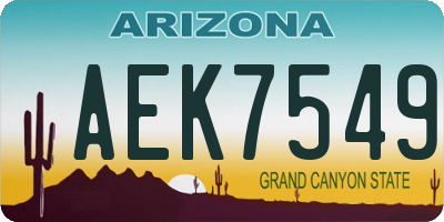 AZ license plate AEK7549