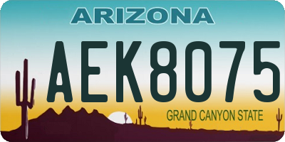 AZ license plate AEK8075