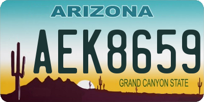 AZ license plate AEK8659