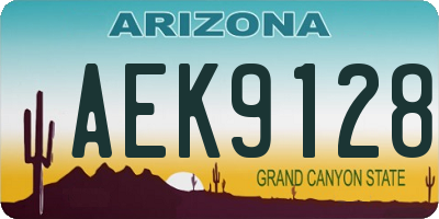 AZ license plate AEK9128