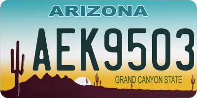AZ license plate AEK9503