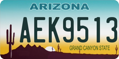 AZ license plate AEK9513