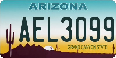 AZ license plate AEL3099