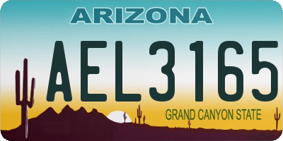AZ license plate AEL3165