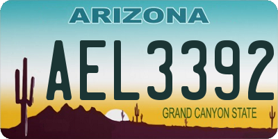 AZ license plate AEL3392