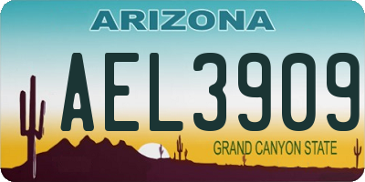 AZ license plate AEL3909