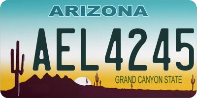 AZ license plate AEL4245