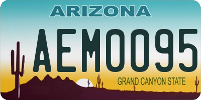 AZ license plate AEM0095