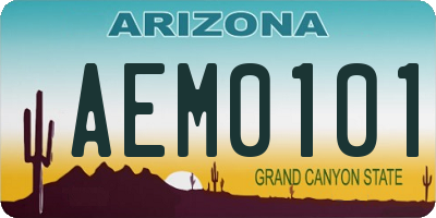 AZ license plate AEM0101
