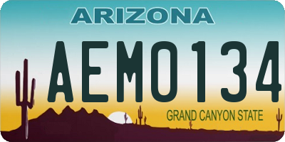 AZ license plate AEM0134