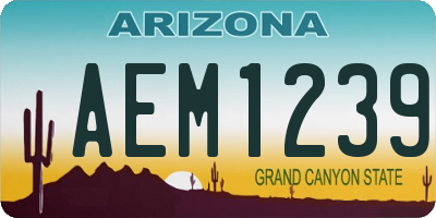 AZ license plate AEM1239