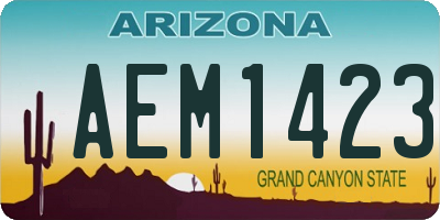 AZ license plate AEM1423