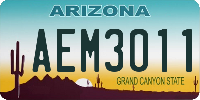 AZ license plate AEM3011