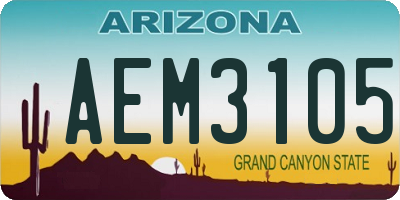 AZ license plate AEM3105