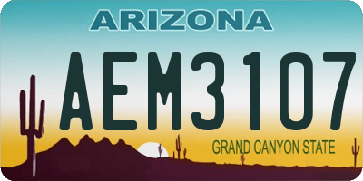 AZ license plate AEM3107