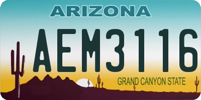 AZ license plate AEM3116