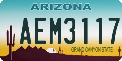 AZ license plate AEM3117