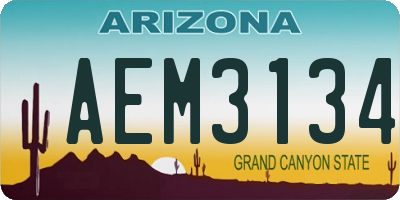 AZ license plate AEM3134