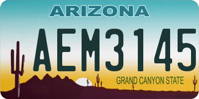 AZ license plate AEM3145
