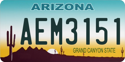 AZ license plate AEM3151